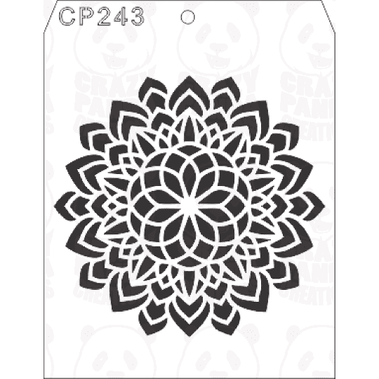 CP243