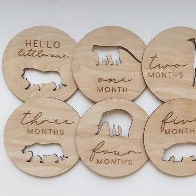 Baby Milestone Cards set of 13 ~ Safari Animals
